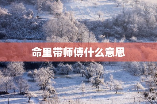 命里带师傅什么意思