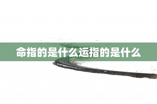 命指的是什么运指的是什么