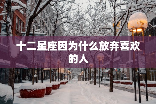 十二星座因为什么放弃喜欢的人