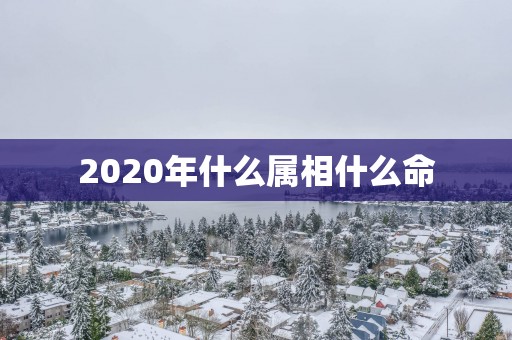 2025年什么属相什么命