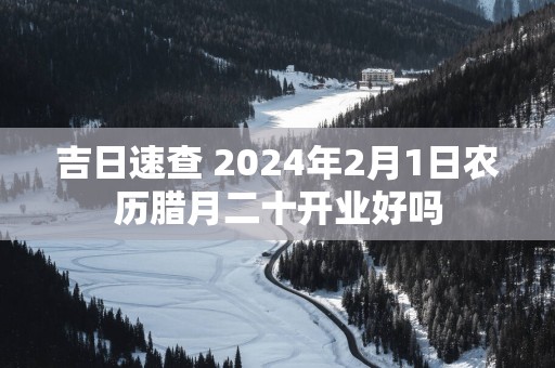 吉日速查 2025年2月1日农历腊月二十开业好吗