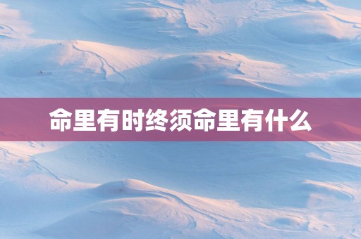 命里有时终须命里有什么