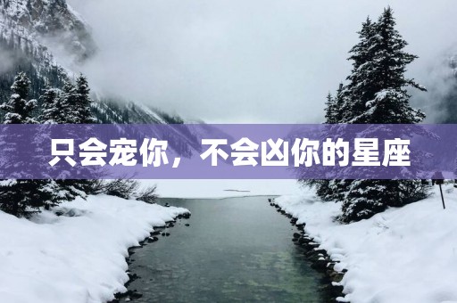只会宠你，不会凶你的星座
