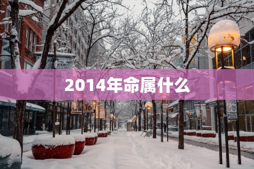 2014年命属什么