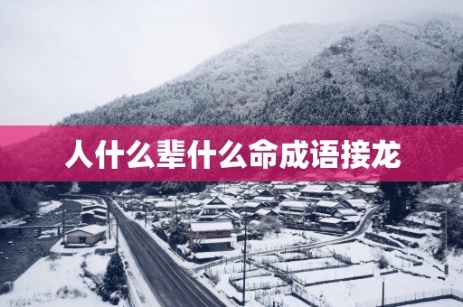 人什么辈什么命成语接龙