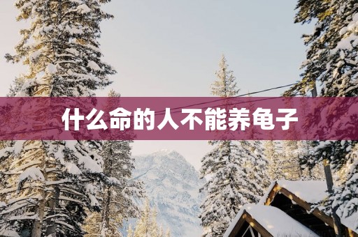 什么命的人不能养龟子
