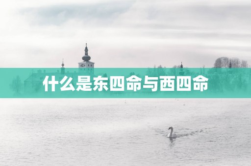 什么是东四命与西四命