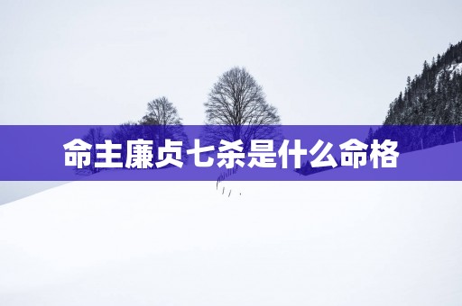 命主廉贞七杀是什么命格
