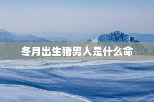 冬月出生猪男人是什么命