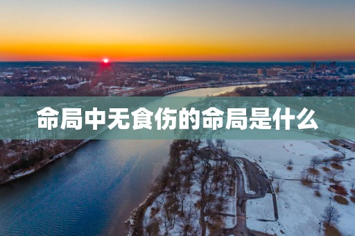 命局中无食伤的命局是什么