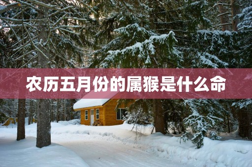 农历五月份的属猴是什么命