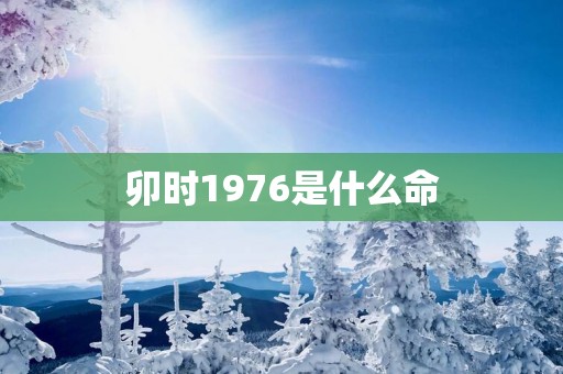 卯时1976是什么命