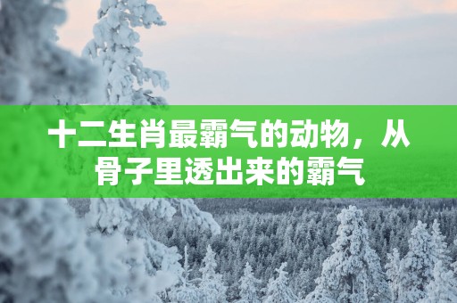 十二生肖最霸气的动物，从骨子里透出来的霸气