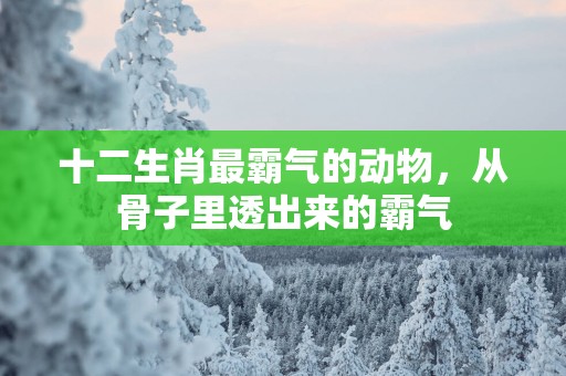 十二生肖最霸气的动物，从骨子里透出来的霸气