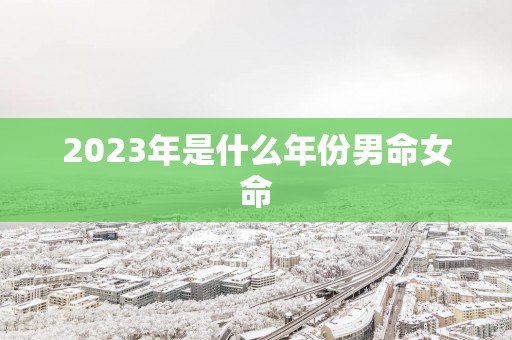 2025年是什么年份男命女命