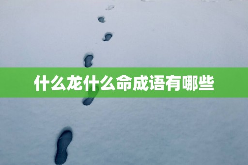 什么龙什么命成语有哪些