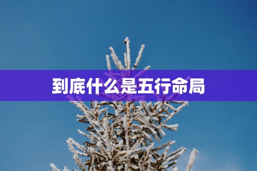 到底什么是五行命局