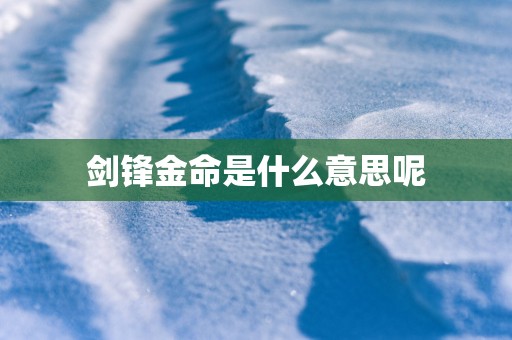 剑锋金命是什么意思呢