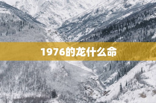 1976的龙什么命