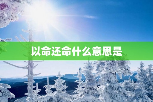 以命还命什么意思是