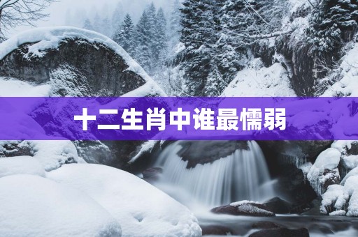 十二生肖中谁最懦弱