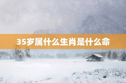 35岁属什么生肖是什么命