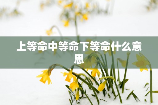 上等命中等命下等命什么意思