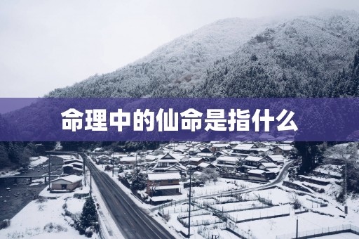 命理中的仙命是指什么
