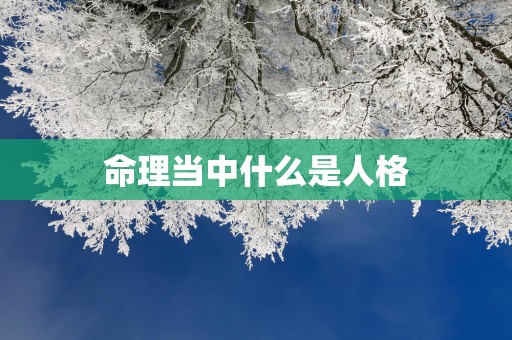 命理当中什么是人格