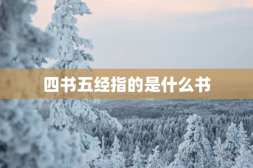 四书五经指的是什么书