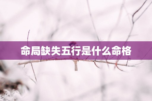 命局缺失五行是什么命格