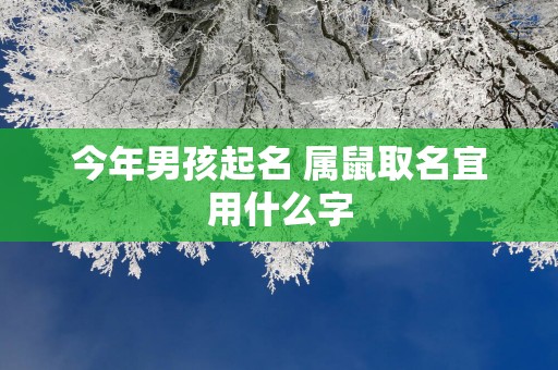 今年男孩起名 属鼠取名宜用什么字