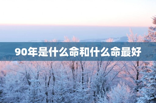90年是什么命和什么命最好