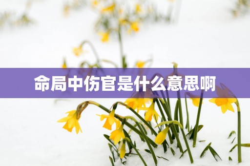 命局中伤官是什么意思啊