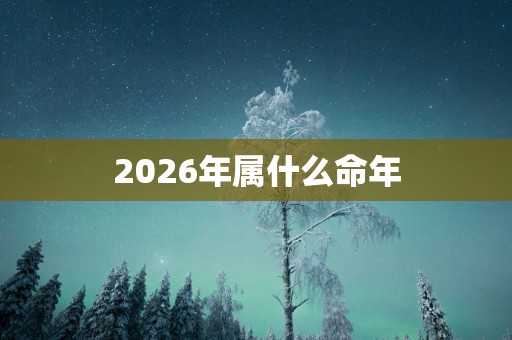 2026年属什么命年