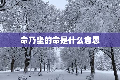 命乃坐的命是什么意思