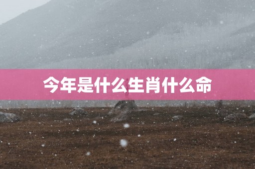 今年是什么生肖什么命