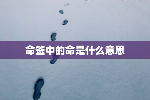 命签中的命是什么意思