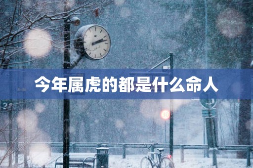 今年属虎的都是什么命人