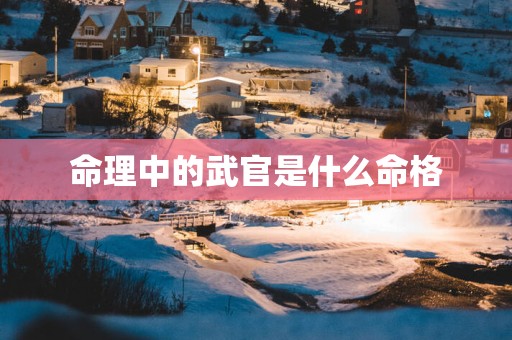命理中的武官是什么命格