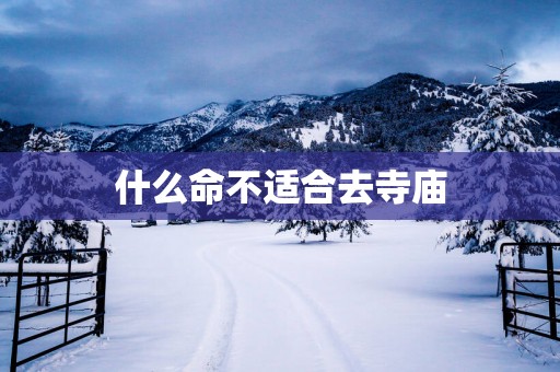 什么命不适合去寺庙