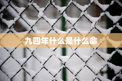 九四年什么是什么命