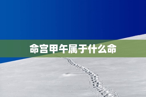 命宫甲午属于什么命