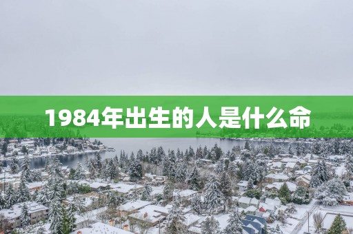 1984年出生的人是什么命