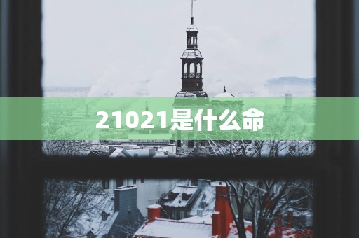 21021是什么命