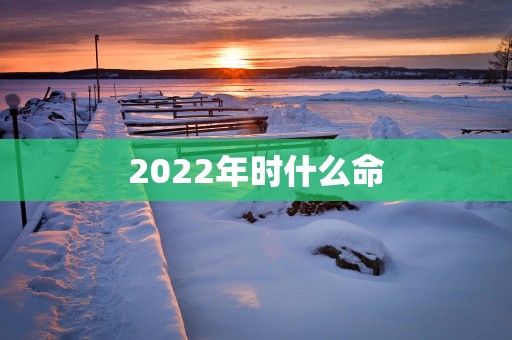 2026年时什么命