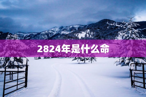 2824年是什么命