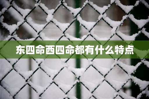 东四命西四命都有什么特点