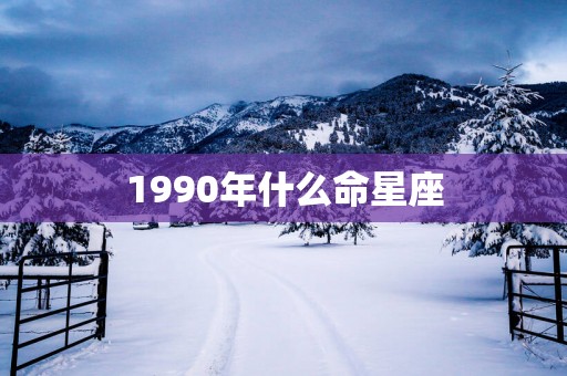 1990年什么命星座