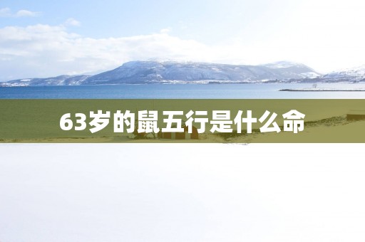 63岁的鼠五行是什么命